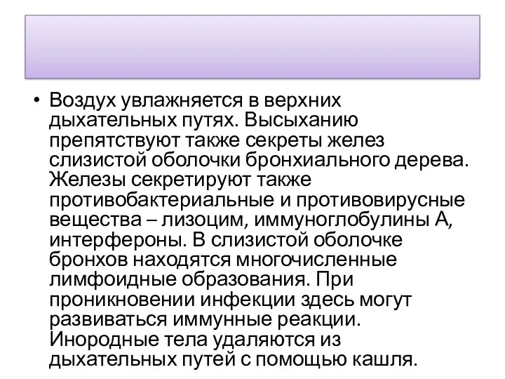 Воздух увлажняется в верхних дыхательных путях. Высыханию препятствуют также секреты