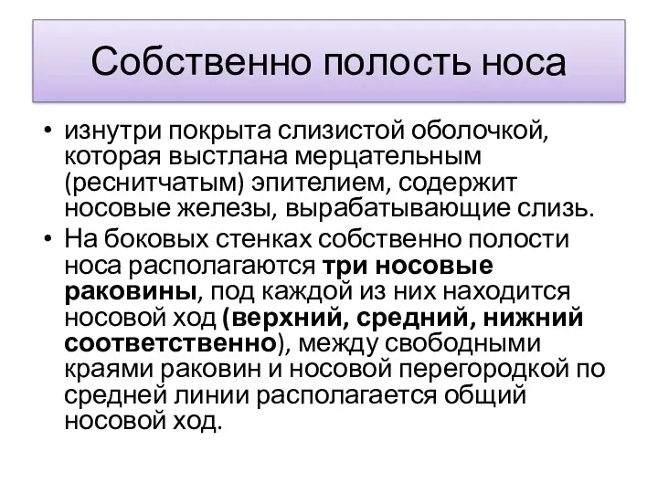 Собственно полость носа изнутри покрыта слизистой оболочкой, которая выстлана мерцательным