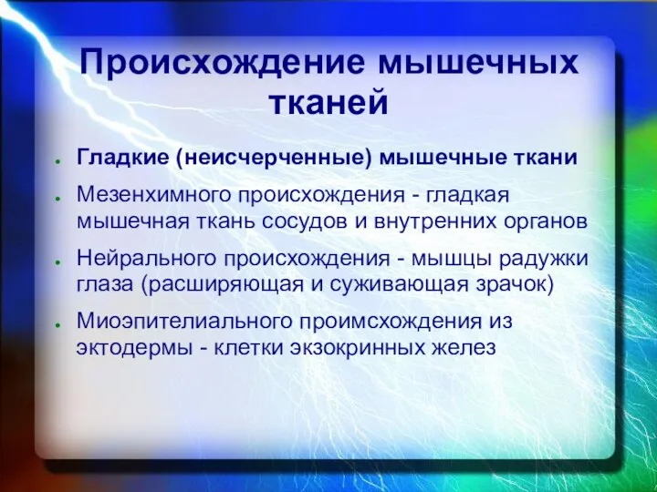 Происхождение мышечных тканей Гладкие (неисчерченные) мышечные ткани Мезенхимного происхождения -