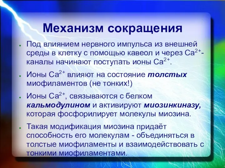 Механизм сокращения Под влиянием нервного импульса из внешней среды в