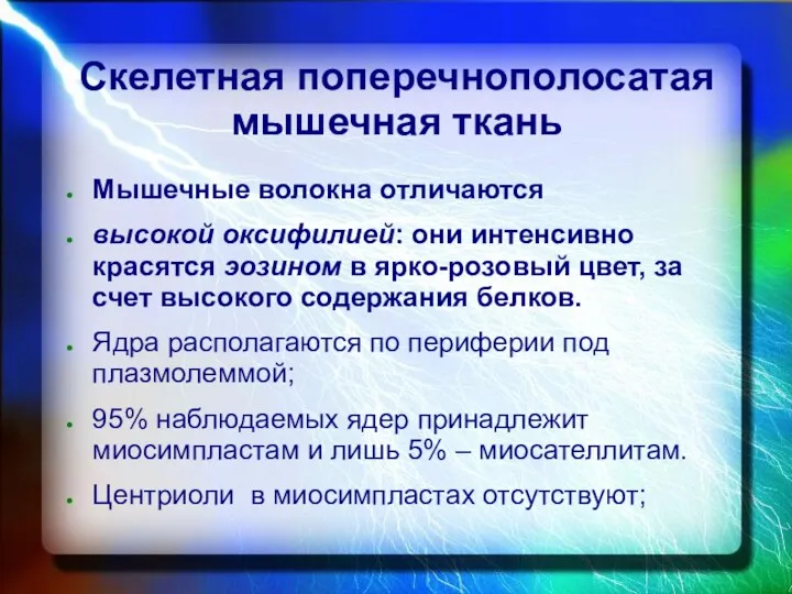 Скелетная поперечнополосатая мышечная ткань Мышечные волокна отличаются высокой оксифилией: они