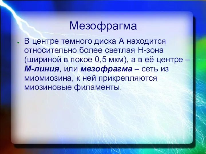 Мезофрагма В центре темного диска А находится относительно более светлая