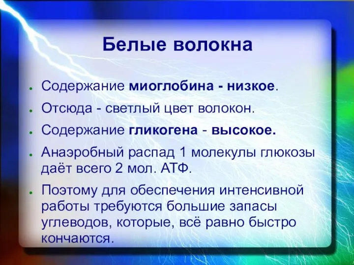 Белые волокна Содержание миоглобина - низкое. Отсюда - светлый цвет