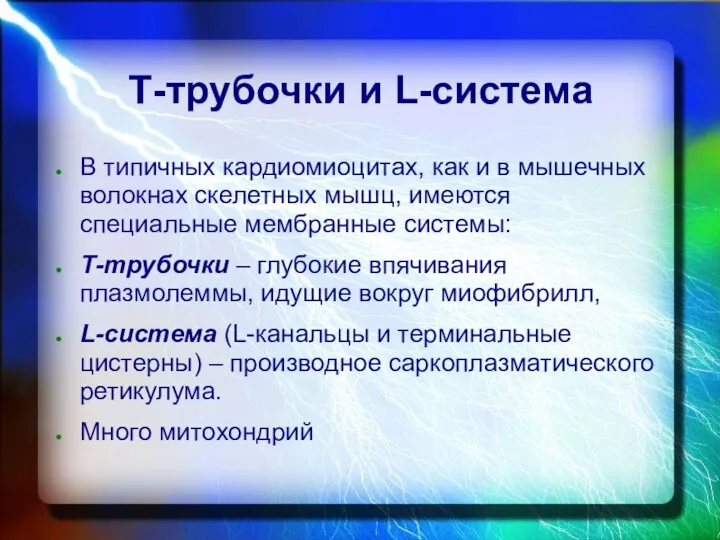 Т-трубочки и L-система В типичных кардиомиоцитах, как и в мышечных