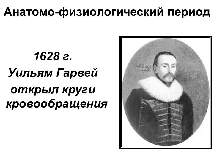 Анатомо-физиологический период 1628 г. Уильям Гарвей открыл круги кровообращения