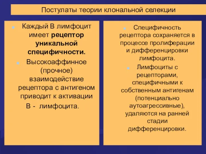 Постулаты теории клональной селекции Каждый В лимфоцит имеет рецептор уникальной