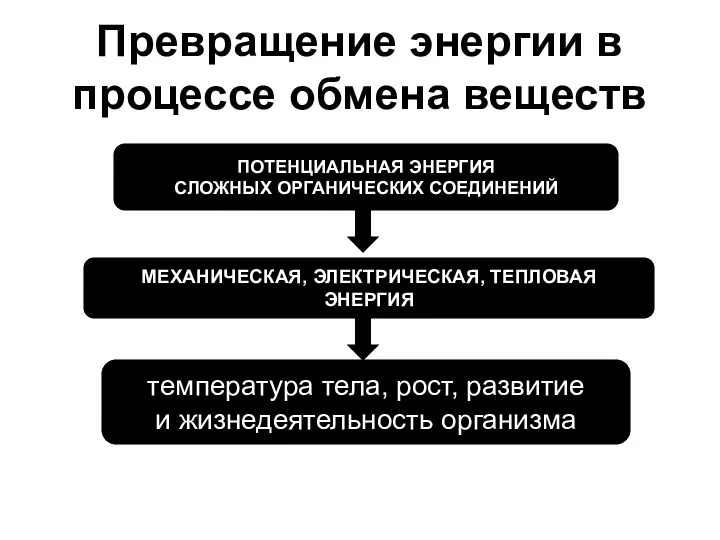 Превращение энергии в процессе обмена веществ ПОТЕНЦИАЛЬНАЯ ЭНЕРГИЯ СЛОЖНЫХ ОРГАНИЧЕСКИХ