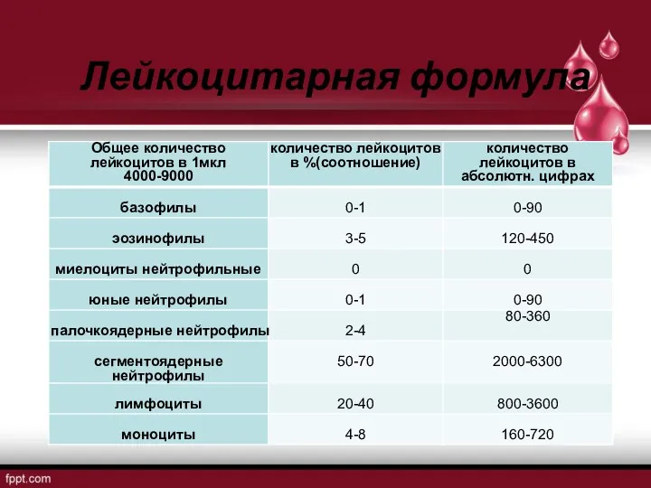 Лейкоцитарная формула