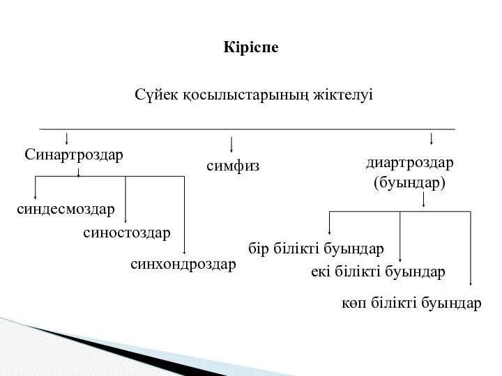 Сүйек қосылыстарының жіктелуі Кіріспе Синартроздар диартроздар (буындар) симфиз синдесмоздар синостоздар синхондроздар бір білікті