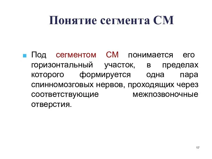 Понятие сегмента СМ Под сегментом СМ понимается его горизонтальный участок,