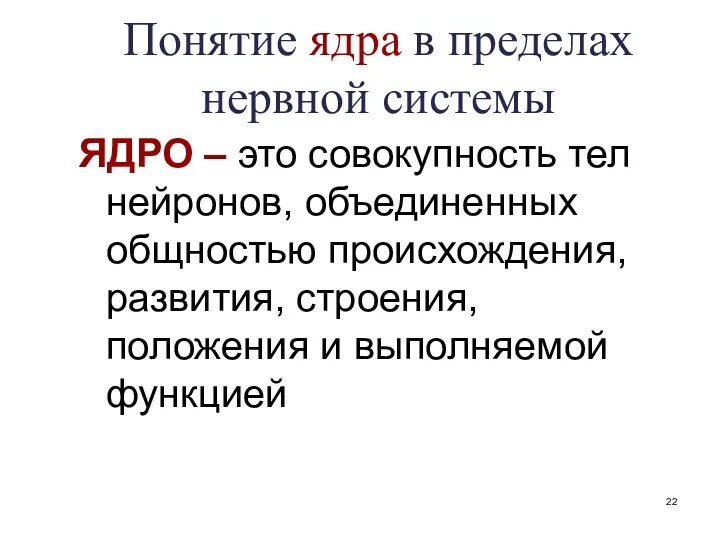 Понятие ядра в пределах нервной системы ЯДРО – это совокупность