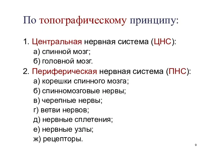 По топографическому принципу: 1. Центральная нервная система (ЦНС): а) спинной