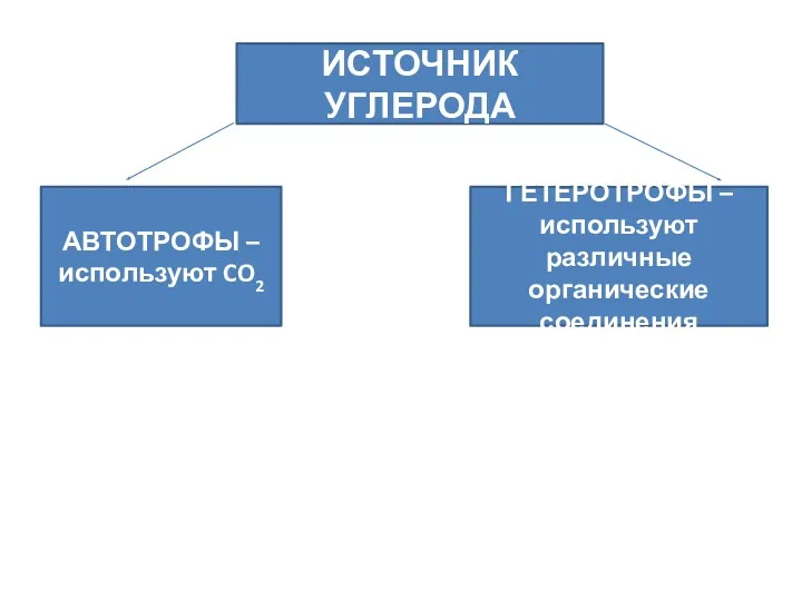 ИСТОЧНИК УГЛЕРОДА АВТОТРОФЫ – используют CO2 ГЕТЕРОТРОФЫ – используют различные органические соединения