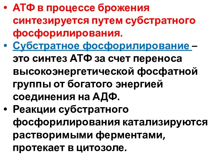 АТФ в процессе брожения синтезируется путем субстратного фосфорилирования. Субстратное фосфорилирование