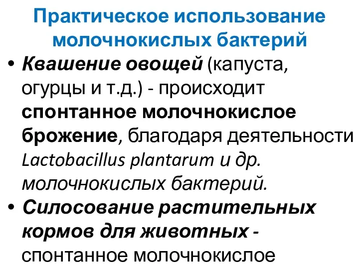 Практическое использование молочнокислых бактерий Квашение овощей (капуста, огурцы и т.д.)