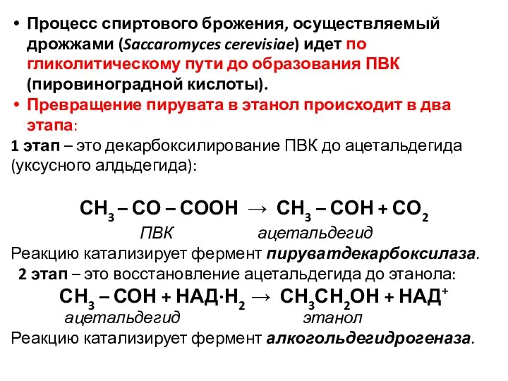 Процесс спиртового брожения, осуществляемый дрожжами (Saccaromyces cerevisiae) идет по гликолитическому