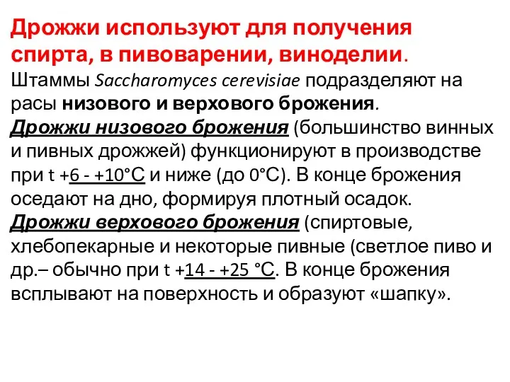 Дрожжи используют для получения спирта, в пивоварении, виноделии. Штаммы Saccharomyces