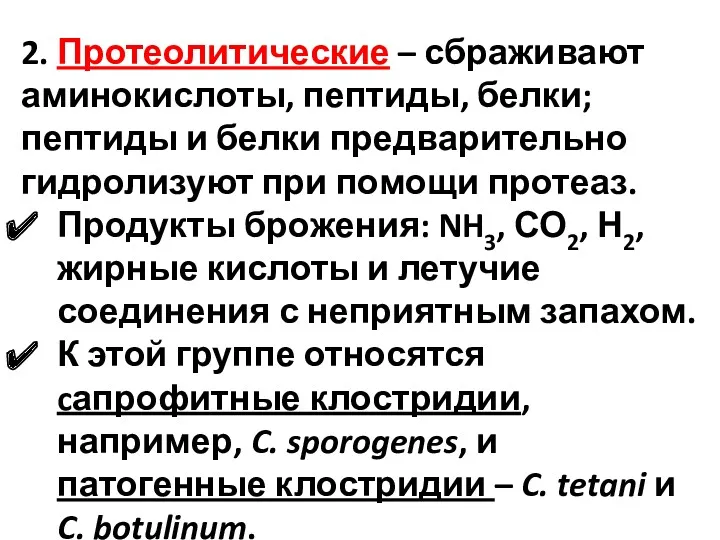 2. Протеолитические – сбраживают аминокислоты, пептиды, белки; пептиды и белки