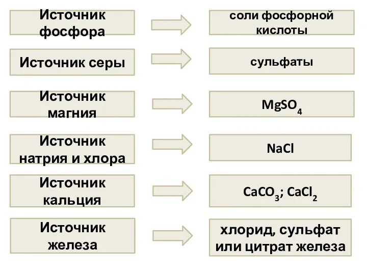 Источник фосфора соли фосфорной кислоты Источник серы сульфаты Источник магния