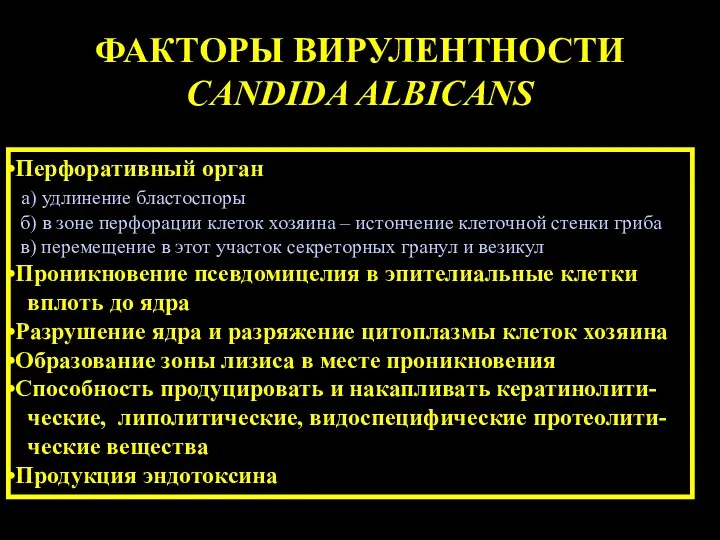 ФАКТОРЫ ВИРУЛЕНТНОСТИ CANDIDA ALBICANS Перфоративный орган а) удлинение бластоспоры б)