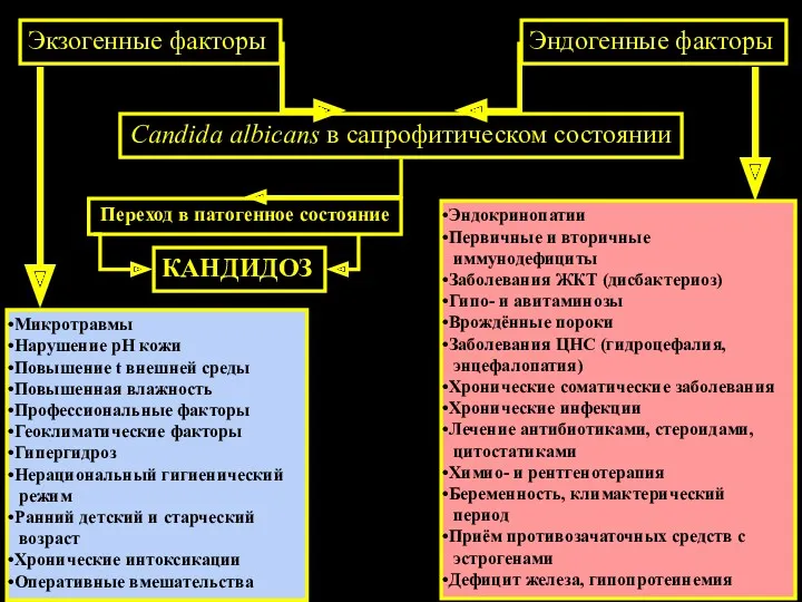 Candida albicans в сапрофитическом состоянии Экзогенные факторы Эндогенные факторы Микротравмы