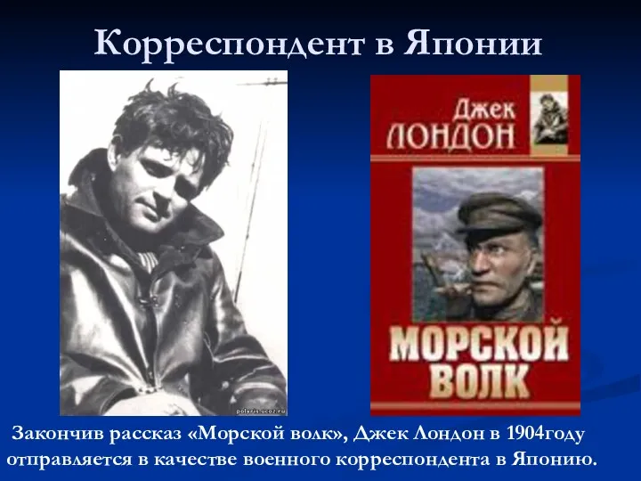 Корреспондент в Японии Закончив рассказ «Морской волк», Джек Лондон в