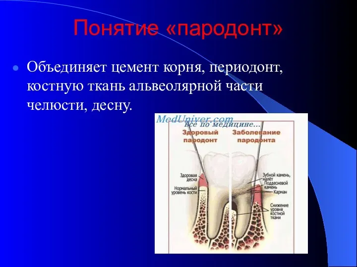 Понятие «пародонт» Объединяет цемент корня, периодонт, костную ткань альвеолярной части челюсти, десну.