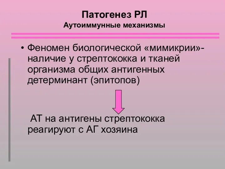 Патогенез РЛ Аутоиммунные механизмы Феномен биологической «мимикрии»- наличие у стрептококка