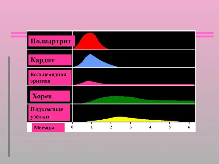 Полиартрит Кардит Кольцевидная эритема Хорея Подкожные узелки Месяцы