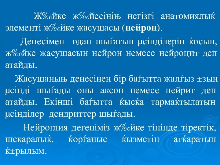 Ж‰йке ж‰йесініњ негізгі анатомиялыќ элементі ж‰йке жасушасы (нейрон). Денесімен одан