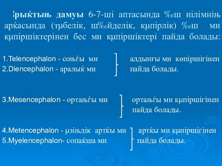 ¦рыќтыњ дамуы 6-7-ші аптасында ‰ш иілімніњ арќасында (тµбелік, ш‰йделік, кµпірлік)