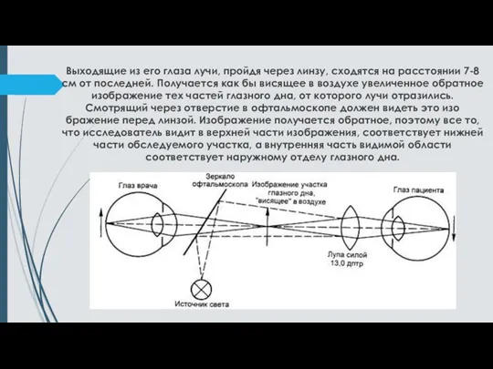 Выходящие из его глаза лучи, пройдя через линзу, схо­дятся на