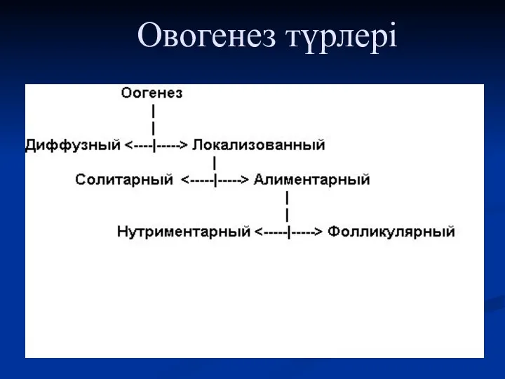 Овогенез түрлері