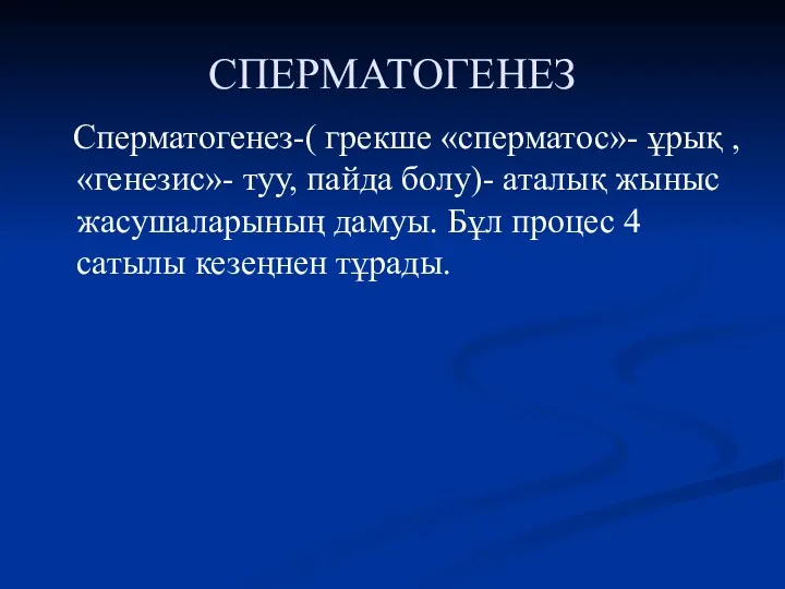 СПЕРМАТОГЕНЕЗ Сперматогенез-( грекше «сперматос»- ұрық , «генезис»- туу, пайда болу)-