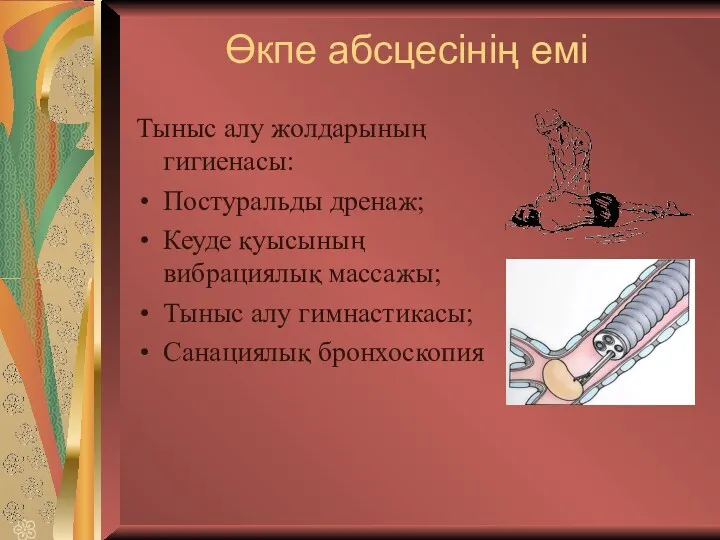 Өкпе абсцесінің емі Тыныс алу жолдарының гигиенасы: Постуральды дренаж; Кеуде