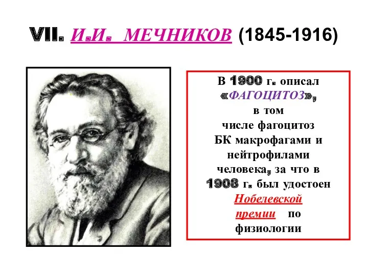 VII. И.И. МЕЧНИКОВ (1845-1916) В 1900 г. описал «ФАГОЦИТОЗ», в