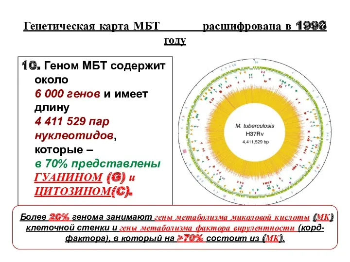 Генетическая карта МБТ расшифрована в 1998 году 10. Геном МБТ