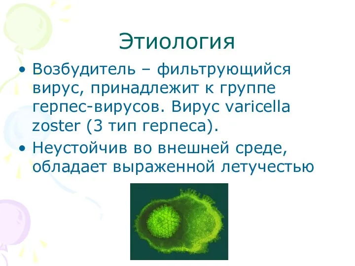 Этиология Возбудитель – фильтрующийся вирус, принадлежит к группе герпес-вирусов. Вирус
