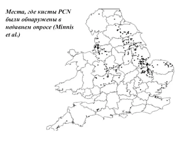 Места, где кисты PCN были обнаружены в недавнем опросе (Minnis et al.)