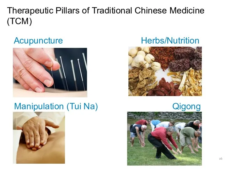 Therapeutic Pillars of Traditional Chinese Medicine (TCM) Acupuncture Herbs/Nutrition Manipulation (Tui Na) Qigong