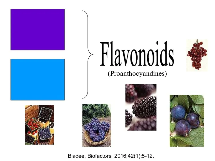 Flavonoids (Proanthocyandines) Bladee, Biofactors, 2016;42(1):5-12.
