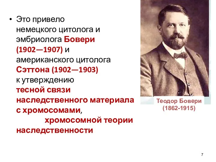 Это привело немецкого цитолога и эмбриолога Бовери (1902—1907) и американского