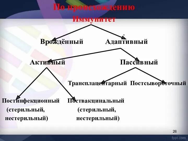 По происхождению Иммунитет Врождённый Адаптивный Активный Пассивный Трансплацентарный Постсывороточный Постинфекционный Поствакцинальный (стерильный, (стерильный, нестерильный) нестерильный)