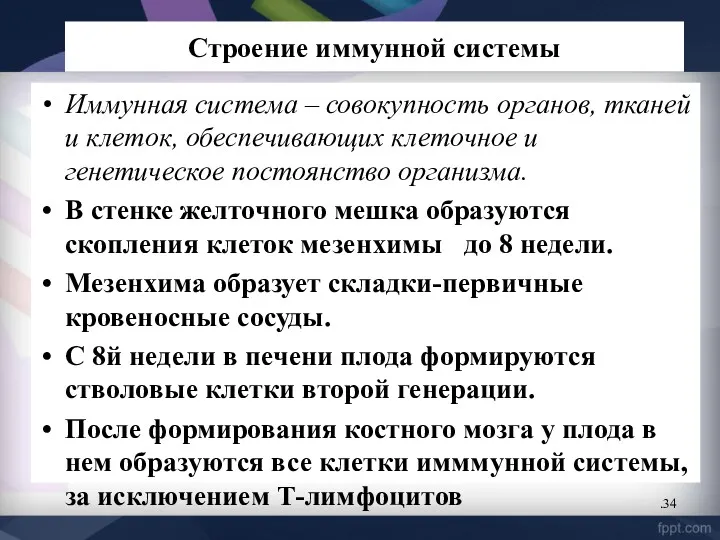 Строение иммунной системы Иммунная система – совокупность органов, тканей и