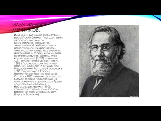 ИЛЬЯ ИЛЬИЧ МЕЧНИКОВ. Илья Ильич Мечников (1845-1916) — российский биолог