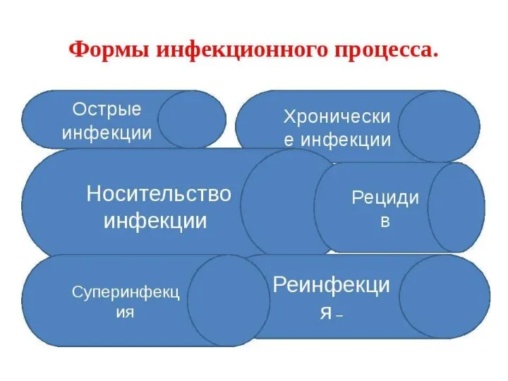 Размножение бактерии