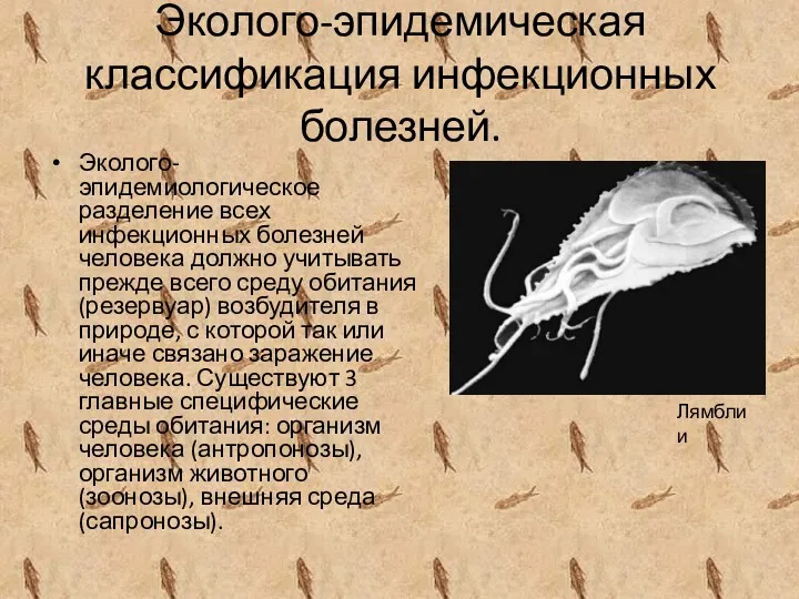 Эколого-эпидемическая классификация инфекционных болезней. Эколого-эпидемиологическое разделение всех инфекционных болезней человека