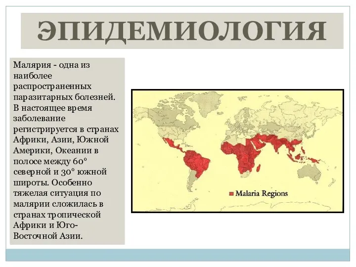 ЭПИДЕМИОЛОГИЯ Малярия - одна из наиболее распространенных паразитарных болезней. В