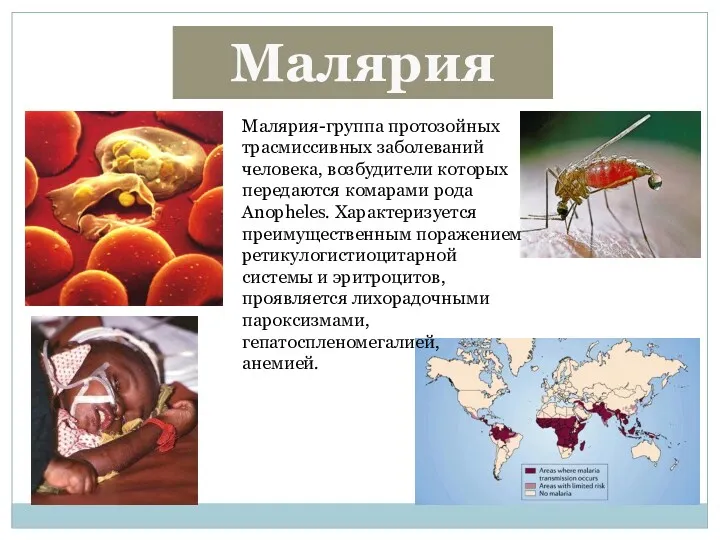 Малярия Малярия-группа протозойных трасмиссивных заболеваний человека, возбудители которых передаются комарами