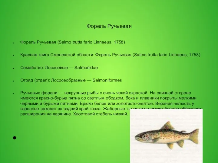 Форель Ручьевая Форель Ручьевая (Salmo trutta fario Linnaeus, 1758) Красная